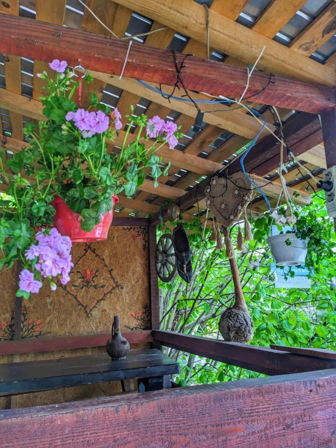 Cabana „Stana Din Deal” Provita de Sus Exterior foto