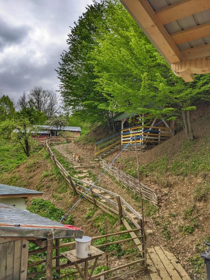 Cabana „Stana Din Deal” Provita de Sus Exterior foto
